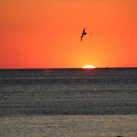 Daire Tramonto Sul Tirreno *