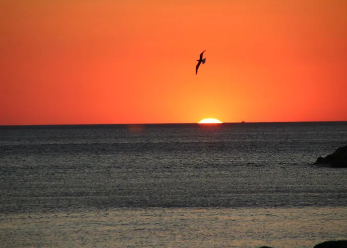 公寓 Tramonto Sul Tirreno *